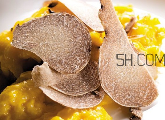 白松露怎么吃？白松露可以曬干保存嗎