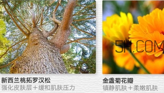 the saem得鮮眼霜適合什么年齡？得鮮眼霜怎么樣？