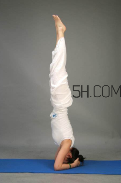 倒立多久可以瘦肚子？倒立能夠瘦腿嗎？