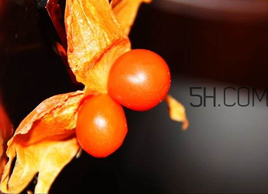 紅姑娘寶寶能吃嗎 紅姑娘寶寶一天吃幾個(gè) 紅姑娘寶寶能吃嗎 紅姑娘寶寶一天吃幾個(gè)