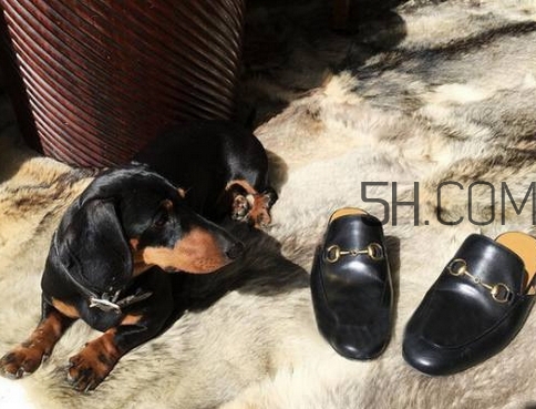 小黑鞋什么牌子好_流行小黑鞋推薦 小黑鞋什么牌子好_流行小黑鞋推薦