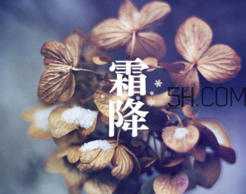 2017霜降會下雨嗎 霜降下雨好嗎 2017霜降會下雨嗎 霜降下雨好嗎