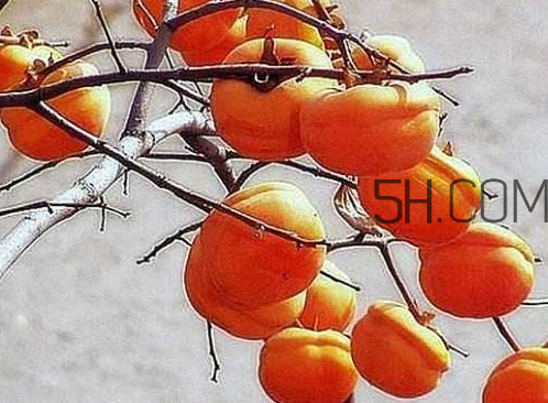 2017霜降會下雨嗎 霜降下雨好嗎 2017霜降會下雨嗎 霜降下雨好嗎