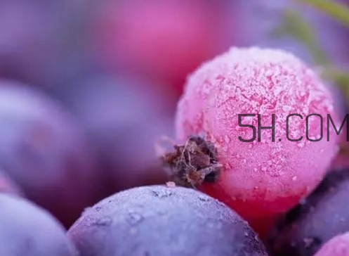 霜降會下雪嗎 霜降會下霜嗎 霜降會下雪嗎 霜降會下霜嗎