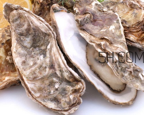 海蠣子怎么保存？海蠣子怎么挑選