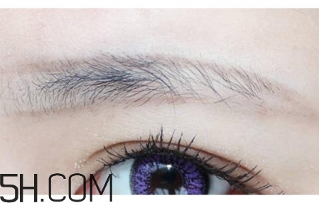 畫眉教程圖解 畫眉毛的技巧圖解一字眉 畫眉教程圖解 畫眉毛的技巧圖解一字眉