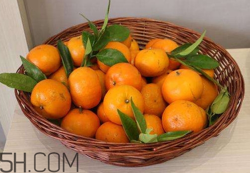 沃柑苗多少錢一株？沃柑為何叫晚熟大王