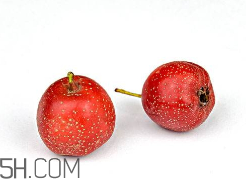 新鮮山楂可以曬干嗎 新鮮山楂怎么曬干 新鮮山楂可以曬干嗎 新鮮山楂怎么曬干