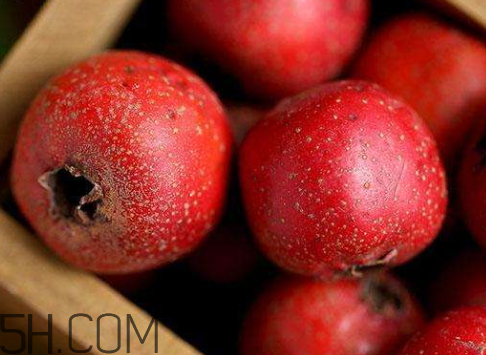 新鮮山楂可以曬干嗎 新鮮山楂怎么曬干 新鮮山楂可以曬干嗎 新鮮山楂怎么曬干