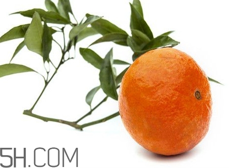 沃柑什么時候成熟？沃柑什么時候放秋梢