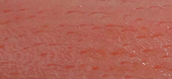 the saem得鮮搖搖樂(lè)唇釉色號(hào) 得鮮搖搖樂(lè)唇釉試色 the saem得鮮搖搖樂(lè)唇釉色號(hào) 得鮮搖搖樂(lè)唇釉試色