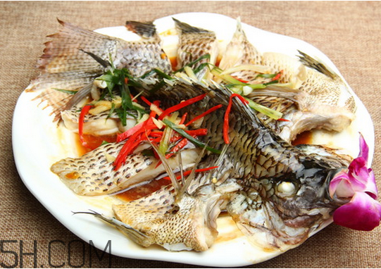 沒有魚刺的魚是哪種魚？如何挑選魚？