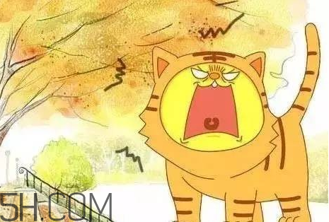 2017年有秋老虎嗎？秋老虎飲食注意事項