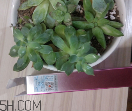 透真眼貼膜貼多長時間 透真眼貼膜怎么樣 透真眼貼膜貼多長時間 透真眼貼膜怎么樣