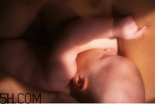 奶粉都是化學成分嗎 母乳和奶粉的營養(yǎng)區(qū)別 奶粉都是化學成分嗎 母乳和奶粉的營養(yǎng)區(qū)別