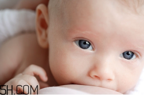 奶粉都是化學成分嗎 母乳和奶粉的營養(yǎng)區(qū)別 奶粉都是化學成分嗎 母乳和奶粉的營養(yǎng)區(qū)別