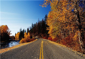 秋天喝蜂蜜有什么好處？秋天吃什么對身體好？