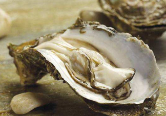 海蠣子是生蠔嗎？海蠣子和生蠔的區(qū)別
