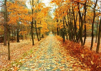 秋天怎么選擇防曬霜？秋天天天洗澡的危害