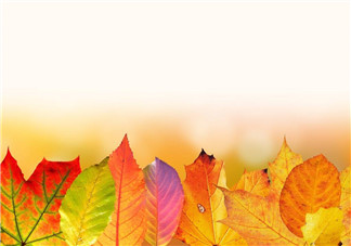 立秋后能吃醋泡姜嗎？醋泡姜什么時(shí)候吃最好？