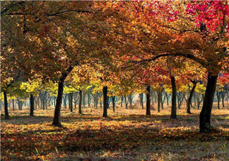 2017年有秋老虎嗎？秋老虎飲食注意事項(xiàng)