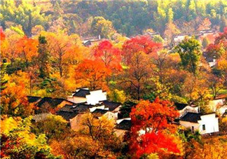 秋季滋補(bǔ)養(yǎng)生越補(bǔ)越好嗎？2017年秋天是幾月份？