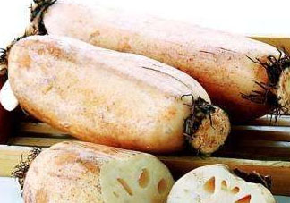 2018年蓮藕價(jià)格會(huì)漲嗎 2018年蓮藕行情預(yù)測