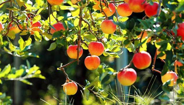 護(hù)膚品選擇困難癥 怎樣挑選適合自己的護(hù)膚品 護(hù)膚品選擇困難癥 怎樣挑選適合自己的護(hù)膚品