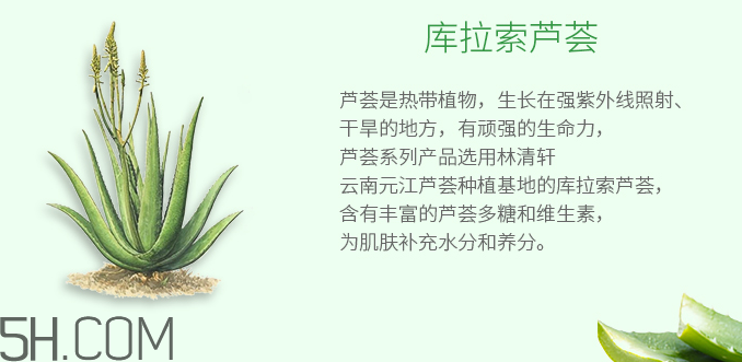 林清軒蘆薈面膜泥怎么樣？林清軒蘆薈面膜泥測(cè)評(píng)