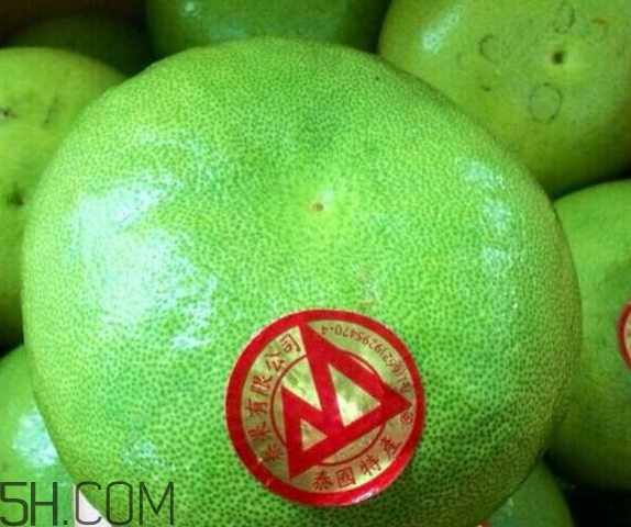 青色的柚子能吃嗎？柚子很苦是怎么回事？