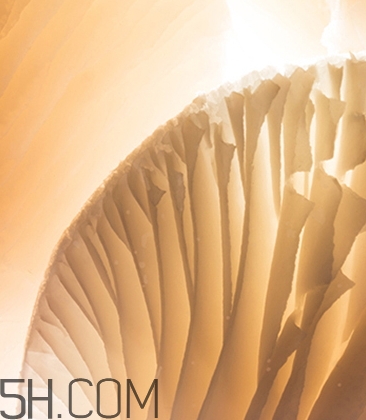 海藍(lán)之謎鎏光煥變蜜粉怎么樣？海藍(lán)之謎鎏光蜜粉好用嗎