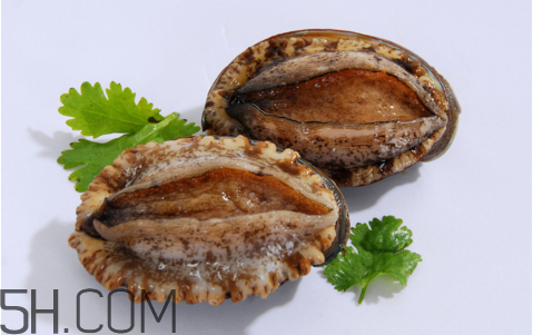 鮑魚吃了會上火嗎？鮑魚是發(fā)物嗎？