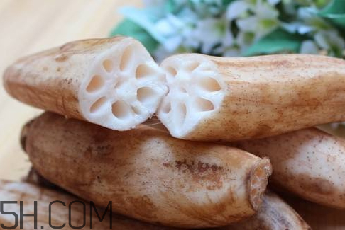 2018年蓮藕價格會漲嗎 2018年蓮藕行情預(yù)測 2018年蓮藕價格會漲嗎 2018年蓮藕行情預(yù)測