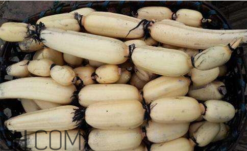 2018年蓮藕價格會漲嗎 2018年蓮藕行情預(yù)測 2018年蓮藕價格會漲嗎 2018年蓮藕行情預(yù)測