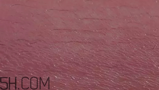 ysl唇釉407替代色推薦 ysl407替代色試色