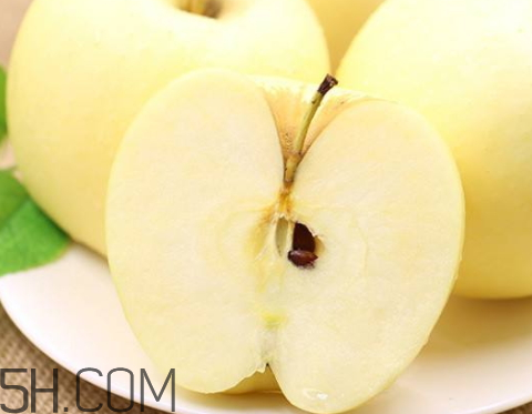 黃元帥蘋果什么時候摘 黃元帥蘋果的成熟期 黃元帥蘋果什么時候摘 黃元帥蘋果的成熟期