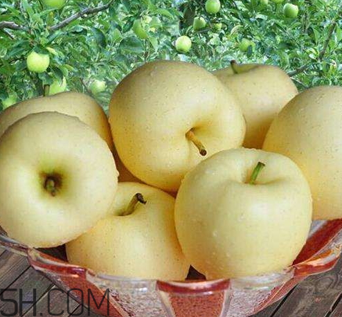 黃元帥蘋果怎么儲(chǔ)存 黃元帥蘋果可以放冰箱嗎 黃元帥蘋果怎么儲(chǔ)存 黃元帥蘋果可以放冰箱嗎