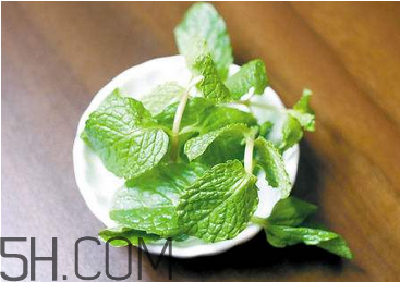 感冒可以喝酒嗎？薄荷治療感冒的方法