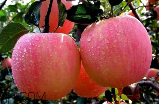 感冒藥吃幾天才會好？預(yù)防春季感冒的方法