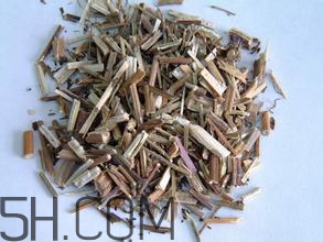 為什么換季會感冒？荊芥治療感冒有功效嗎？