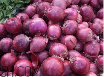 不同人群如何選擇感冒藥？感冒了能吃洋蔥嗎？