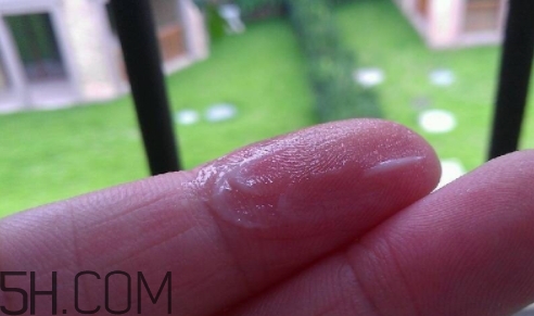 百雀羚乳液多少錢一瓶？百雀羚乳液專柜價(jià)格