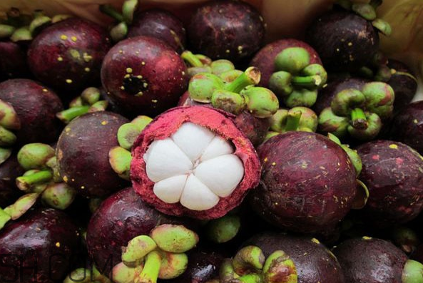 哪些人不能吃山竹？山竹軟的好還是硬的好？