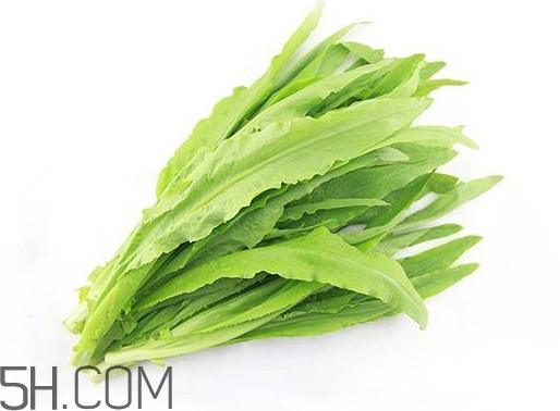 油麥菜是轉基因蔬菜嗎？油麥菜是發(fā)物嗎