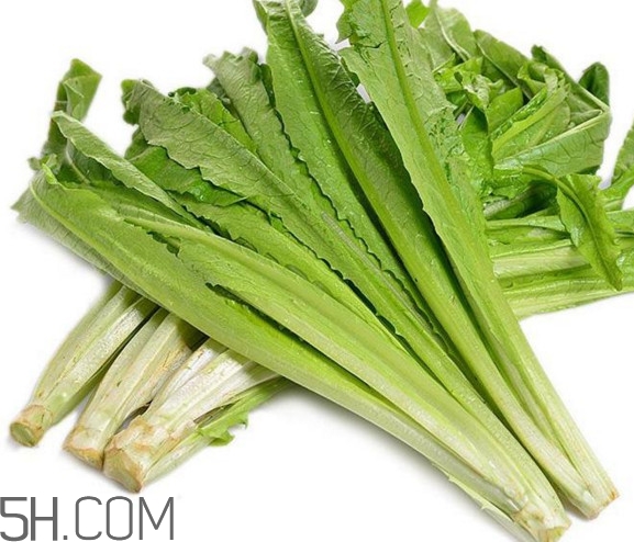 油麥菜是酸性還是堿性？油麥菜是什么季節(jié)的菜