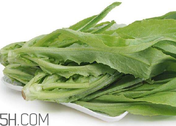 油麥菜可以隔夜嗎？油麥菜可以涮火鍋嗎