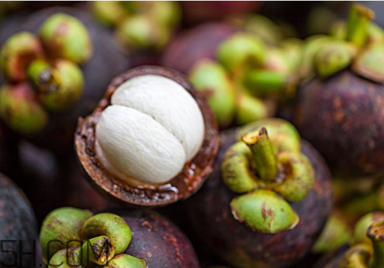 經(jīng)期可以吃山竹嗎？什么樣的山竹是新鮮的？