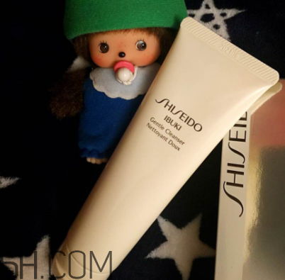 資生堂新漾美肌潔面膏好用嗎_多少錢 資生堂新漾美肌潔面膏好用嗎_多少錢