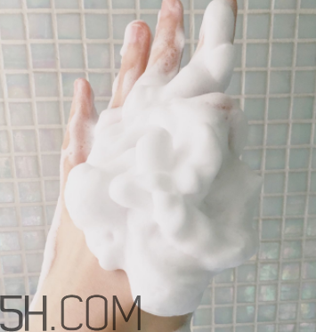 資生堂新漾美肌潔面膏好用嗎_多少錢 資生堂新漾美肌潔面膏好用嗎_多少錢