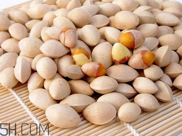 白果一天最多吃幾顆？白果什么時候采摘